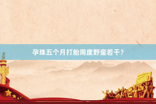 孕珠五个月打胎用度野蛮若干？