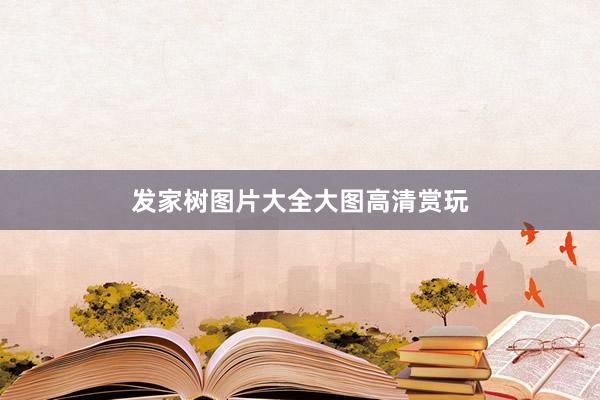发家树图片大全大图高清赏玩