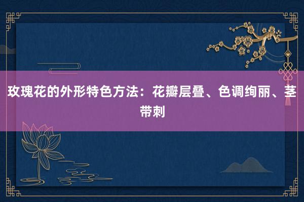 玫瑰花的外形特色方法：花瓣层叠、色调绚丽、茎带刺