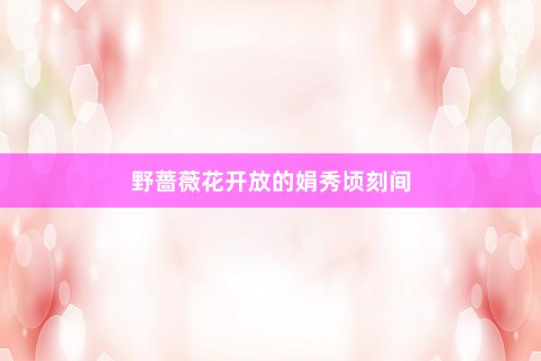 野蔷薇花开放的娟秀顷刻间