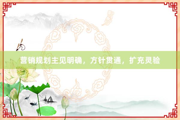营销规划主见明确，方针贯通，扩充灵验